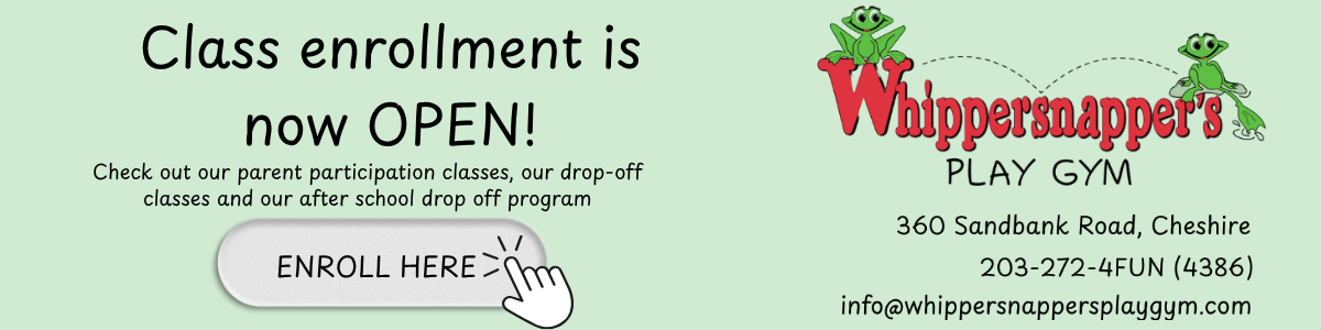 Whippersnapper's Play Gym class enrollment advertisement